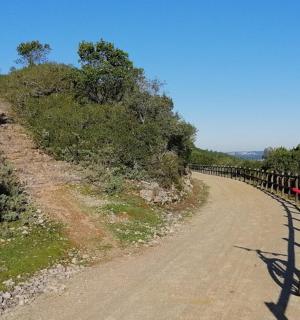 停在土路边的自行车