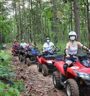 一群人骑着四轮摩托车在树林里的小路上行驶