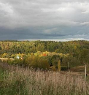 una vista di un campo con alberi sullo sfondo