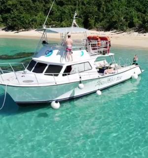 a white boat in the water near a beach