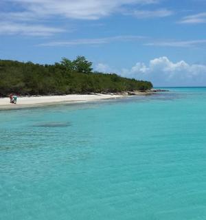 osoba stojící na pláži v oceánu