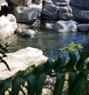 proud vody s kameny v zoo