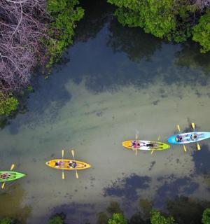 a group of surfboards sitting in the water