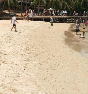 a group of people playing on the beach