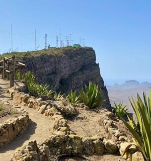 一条穿过沙漠的土路，山上有植物