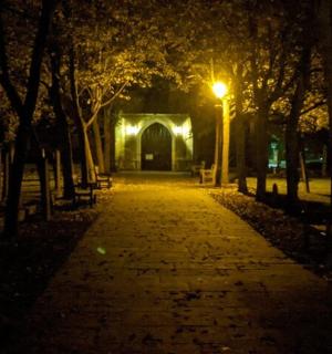 夜晚的公园，远处有灯光