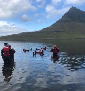 a group of people standing in the water with dogs