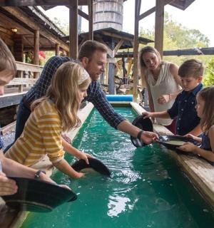 skupina lidí hrajících si v bazénu s vodou