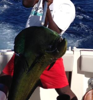 船上一名男子抓着一条大鱼