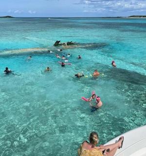 a group of people in the water with a whale