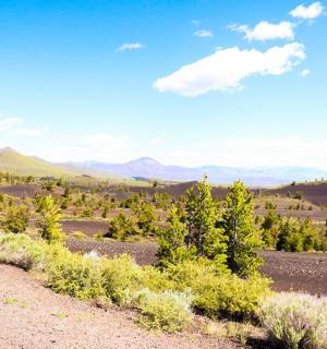 droga gruntowa z drzewami i górami w tle