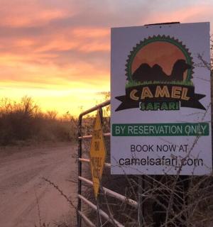 a sign for a camel ranch on a dirt road