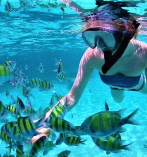 一个人和一条鱼在水中游泳