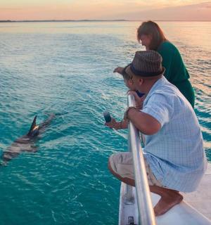 一名男子在船上看着水中的海豚