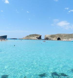 a group of people swimming in the blue ocean