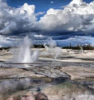 suur veelomb põllul pilvise taevaga