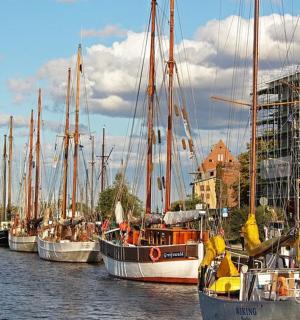 一群停靠在港口的船只