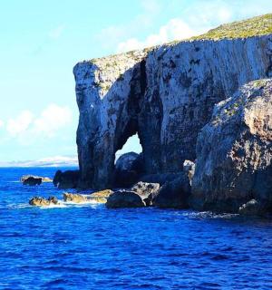 skupina zvířat ve vodě poblíž skalního útvaru