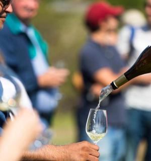 a man pouring a glass of white wine