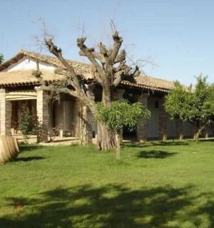 院子里有棵树的房子