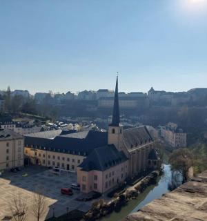 widok miasta z kościołem i rzeką