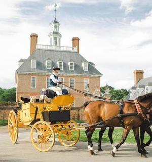 一名女子乘坐由两匹马拉着的黄色马车