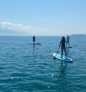 a group of people on paddle boards in the water