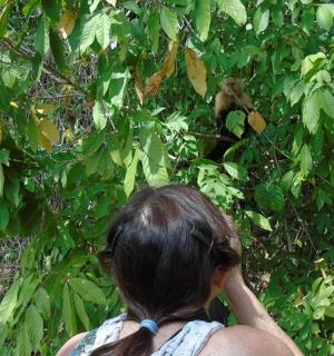 a woman looking at a monkey in a tree