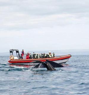 一群人在水中的船上