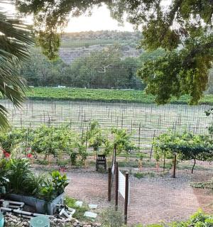 zahrada se stromy, květinami a plotem