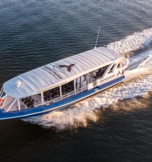 a boat in the water on the water