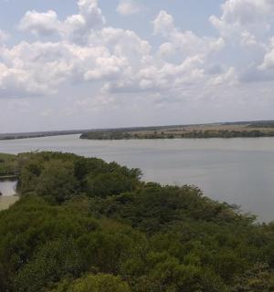 一大片水域的鸟瞰图