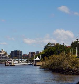 Brisbane River Cruise & Koala Sanctuary Admission