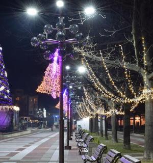 挂满圣诞灯和圣诞树的城市街道