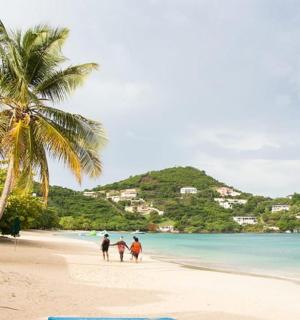 three people riding horses on a beach with a palm tree