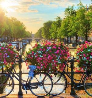 two bikes parked next to a fence with flowers