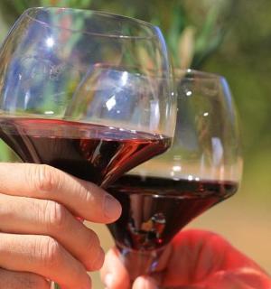 a person holding a glass of red wine