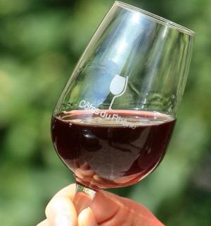 a person holding a glass of red wine