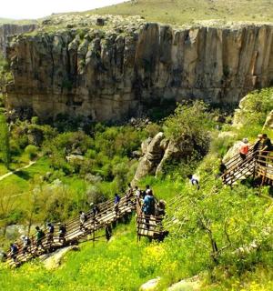 a group of people standing on a hill with a canyon