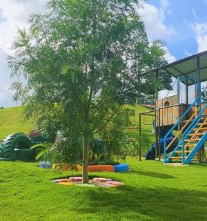 有树和滑梯的游乐场