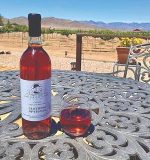 a bottle of wine and a glass on a table