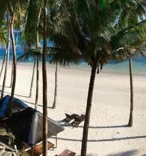 沙滩上的帐篷，有棕榈树和大海