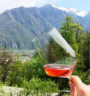 osoba držící sklenici vína