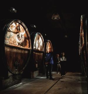 a person standing in a dark room next to two wine barrels