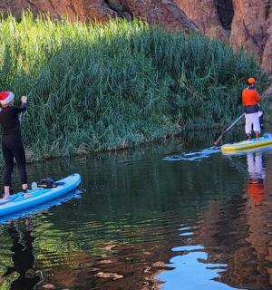 two people are standing on paddle boards in the water
