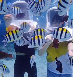 两个孩子在水族馆看鱼