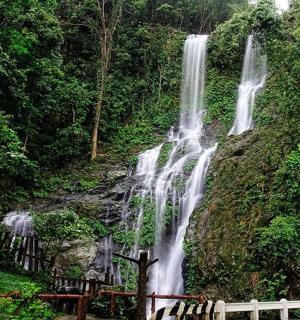 a waterfall in the middle of a forest