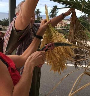 一名男子和一名女子在工厂里工作