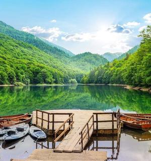 一群停泊在河边码头的船只