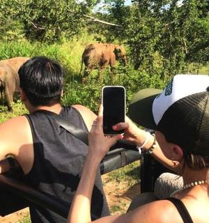 一名女子正在拍摄两人观看大象的照片